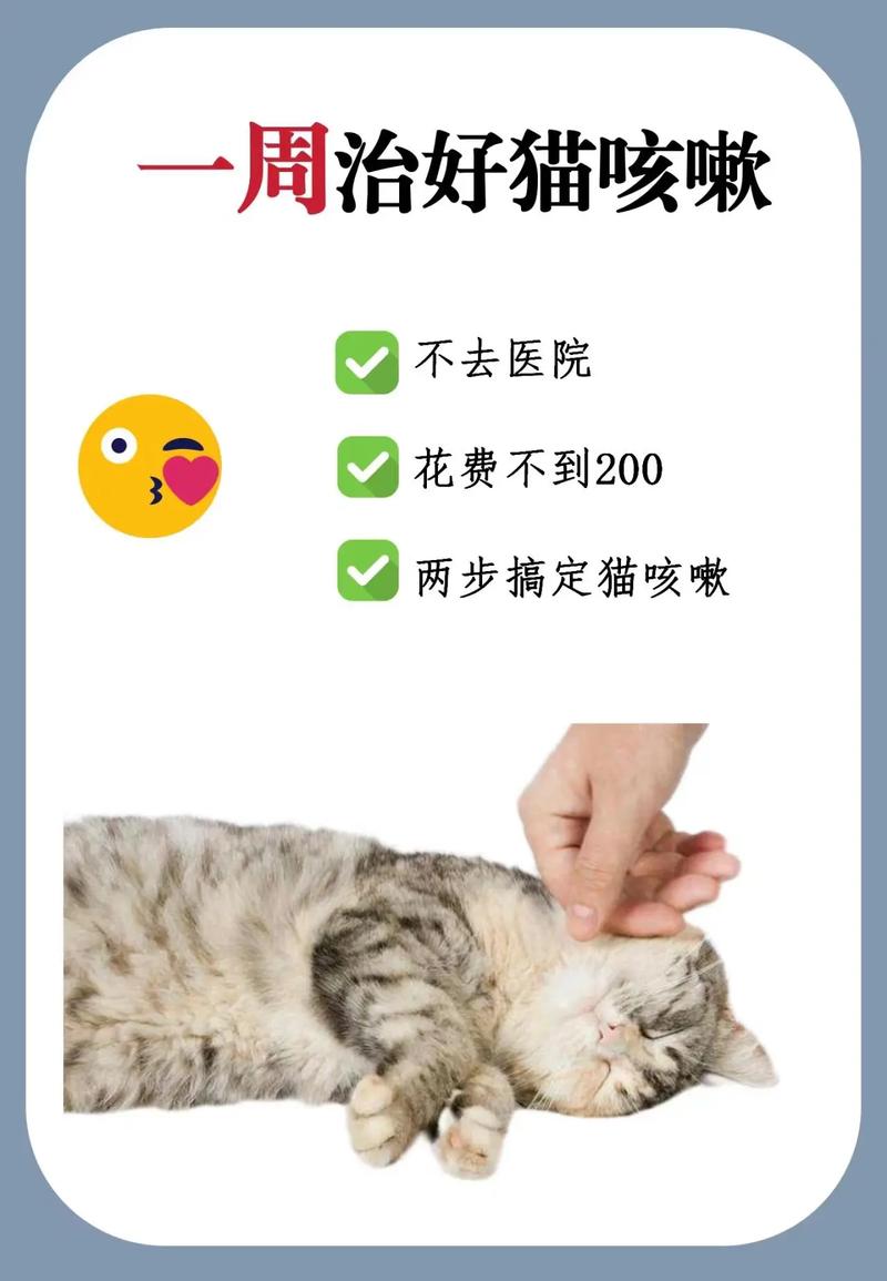猫咪咳嗽吃什么药好,猫儿咳嗽吃什么药?-第5张图片-后鲨宠物 猫咪咳嗽吃什么药好,猫儿咳嗽吃什么药?-第5张图片-后鲨宠物