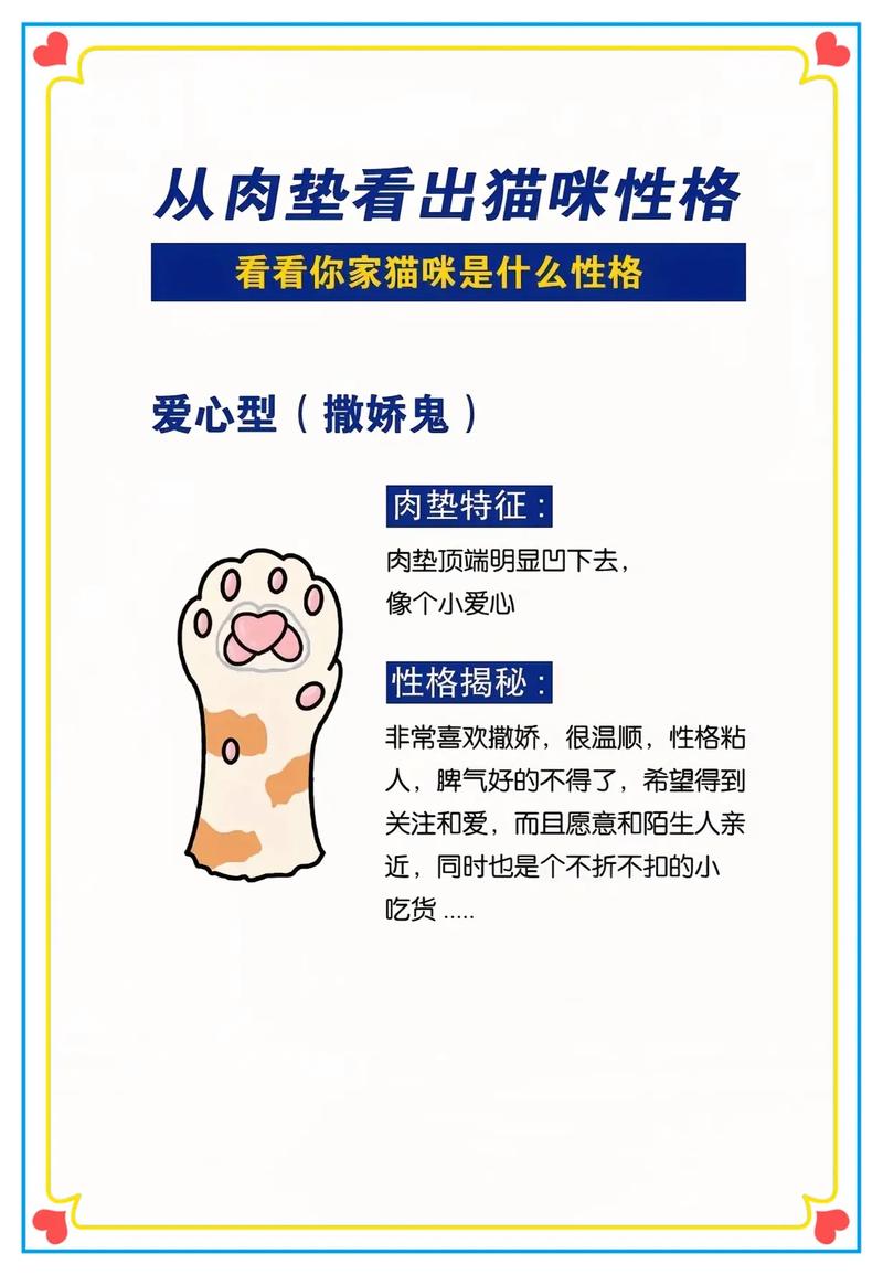猫咪肉垫看性格_猫咪肉垫看性格怎么看-第5张图片-后鲨宠物 猫咪肉垫看性格_猫咪肉垫看性格怎么看-第5张图片-后鲨宠物