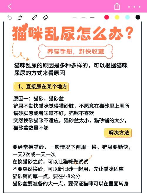 猫咪一天尿几次正常,猫咪尿不出来尿是什么原因?-第4张图片-后鲨宠物 猫咪一天尿几次正常,猫咪尿不出来尿是什么原因?-第4张图片-后鲨宠物