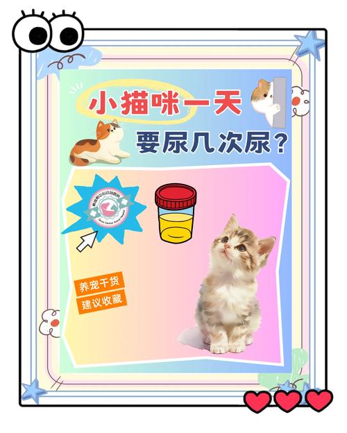 猫咪一天尿几次正常,猫咪尿不出来尿是什么原因?-第5张图片-后鲨宠物 猫咪一天尿几次正常,猫咪尿不出来尿是什么原因?-第5张图片-后鲨宠物