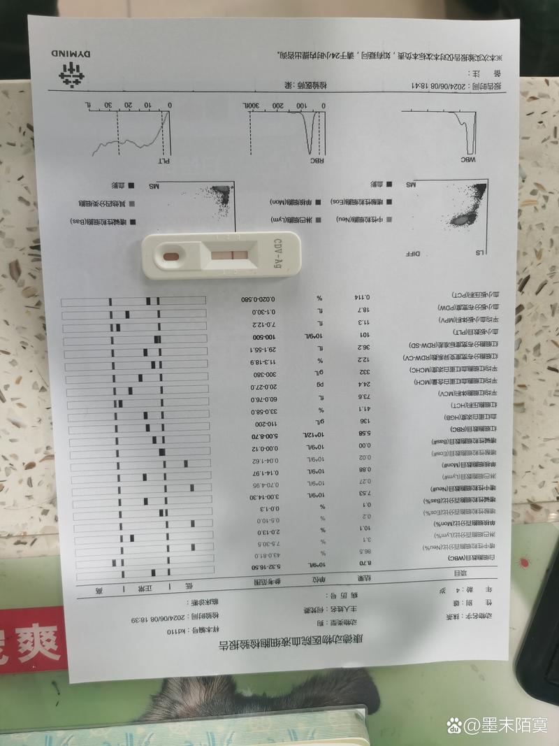 狗狗crp高是胰腺炎吗，狗狗crp很高？-第5张图片-后鲨宠物