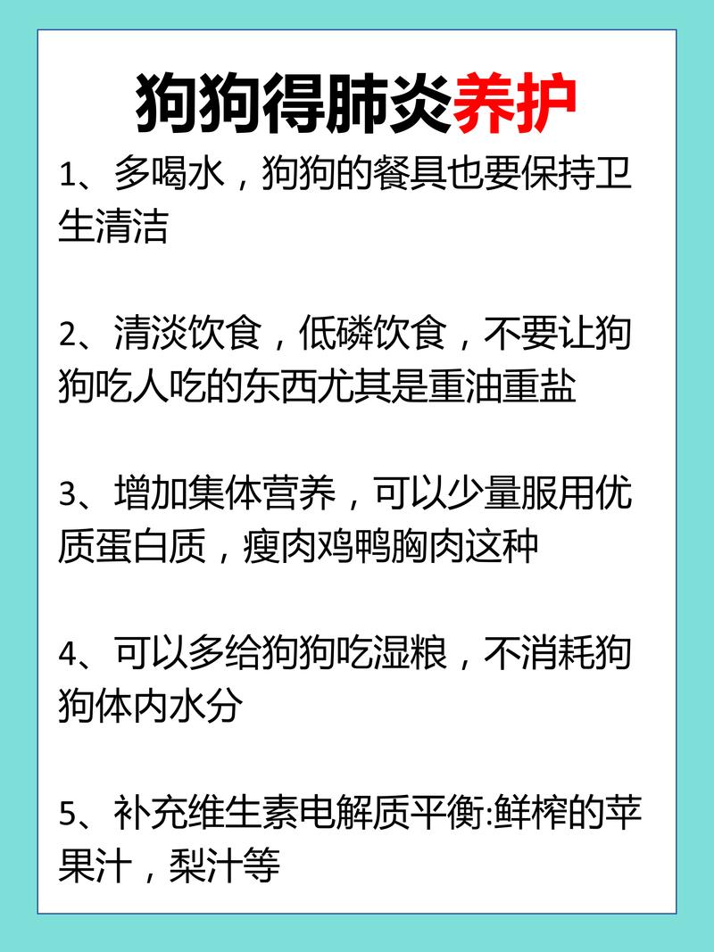 狗狗咳嗽很严重怎么办_狗狗咳嗽很严重怎么办啊-第1张图片-后鲨宠物 狗狗咳嗽很严重怎么办_狗狗咳嗽很严重怎么办啊-第1张图片-后鲨宠物