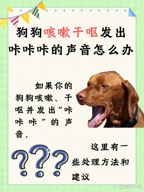 狗狗咳嗽很严重怎么办_狗狗咳嗽很严重怎么办啊-第4张图片-后鲨宠物 狗狗咳嗽很严重怎么办_狗狗咳嗽很严重怎么办啊-第4张图片-后鲨宠物