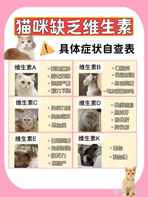猫咪补充微量元素吃什么,猫补充微量元素有什么好处?-第1张图片-后鲨宠物 猫咪补充微量元素吃什么,猫补充微量元素有什么好处?-第1张图片-后鲨宠物