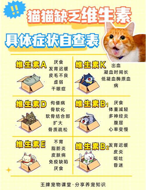 猫咪补充微量元素吃什么,猫补充微量元素有什么好处?-第4张图片-后鲨宠物 猫咪补充微量元素吃什么,猫补充微量元素有什么好处?-第4张图片-后鲨宠物