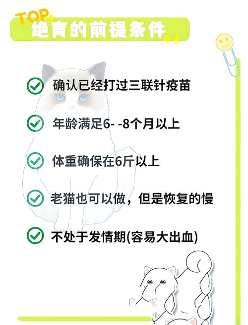 猫咪生完多久可以绝育_猫咪生后多久可以做绝育手术-第3张图片-后鲨宠物