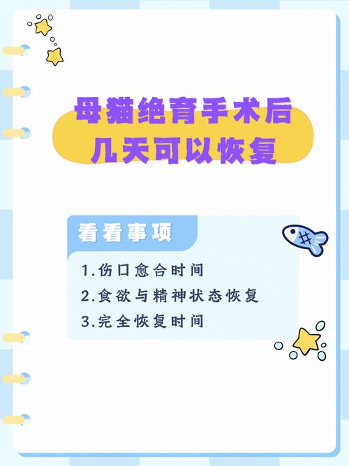 猫咪生完多久可以绝育_猫咪生后多久可以做绝育手术-第4张图片-后鲨宠物