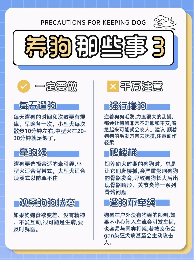 新手怎么养狗狗_新手该怎么养狗狗-第1张图片-后鲨宠物 新手怎么养狗狗_新手该怎么养狗狗-第1张图片-后鲨宠物