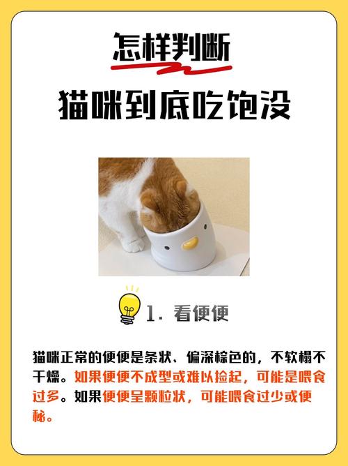 怎么知道猫咪吃饱了,怎么判断猫吃饱-第3张图片-后鲨宠物 怎么知道猫咪吃饱了,怎么判断猫吃饱-第3张图片-后鲨宠物