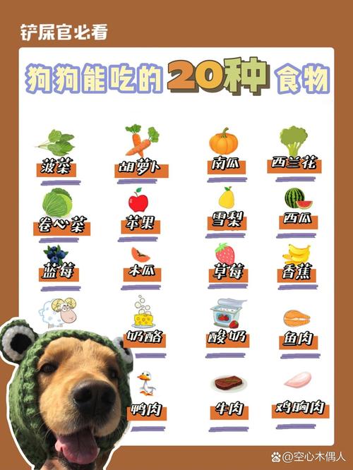  狗狗补充营养吃什么，狗狗可以吃什么补充营养-第4张图片-后鲨宠物