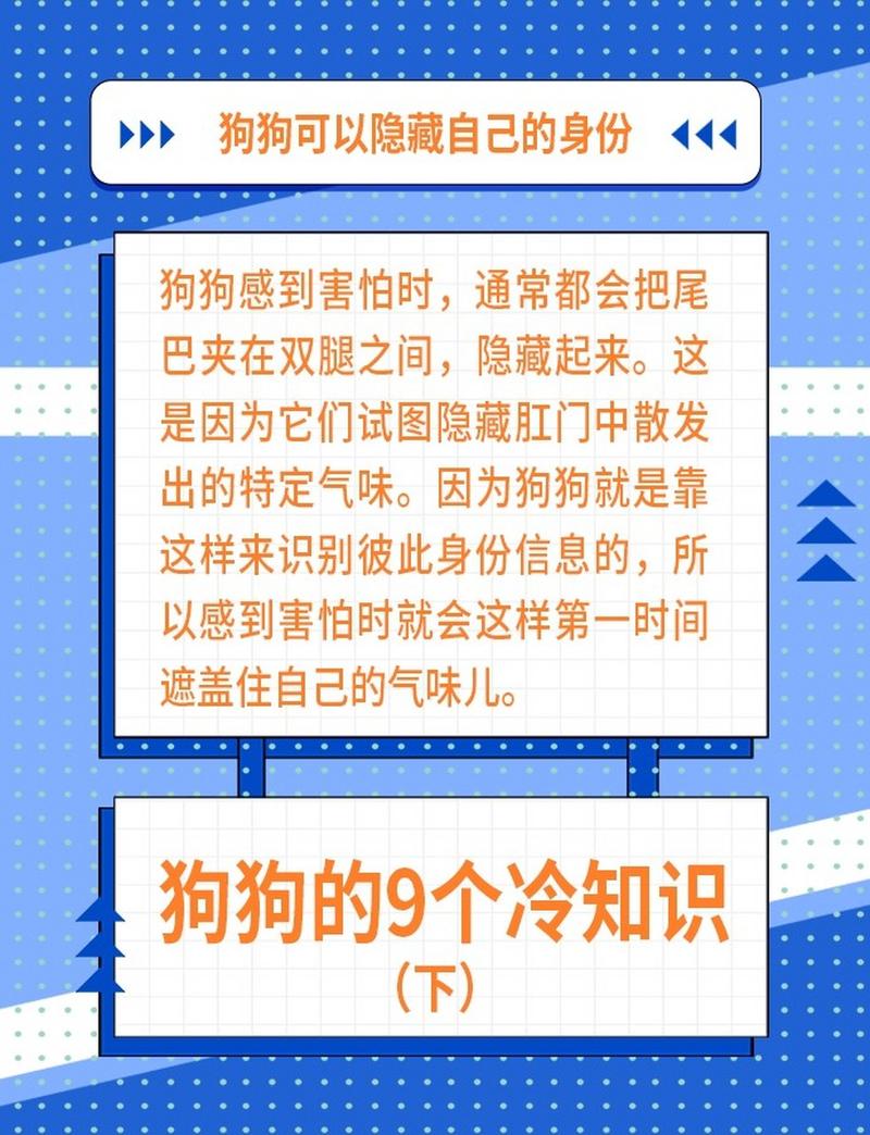 狗狗怕打雷的表现_如何解决狗狗怕打雷时的狂躁-第6张图片-后鲨宠物 狗狗怕打雷的表现_如何解决狗狗怕打雷时的狂躁-第6张图片-后鲨宠物