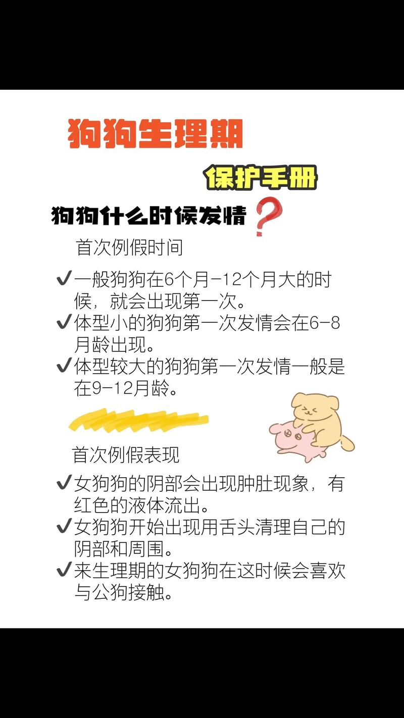 狗狗多少岁绝经，狗狗好多岁绝经-第3张图片-后鲨宠物