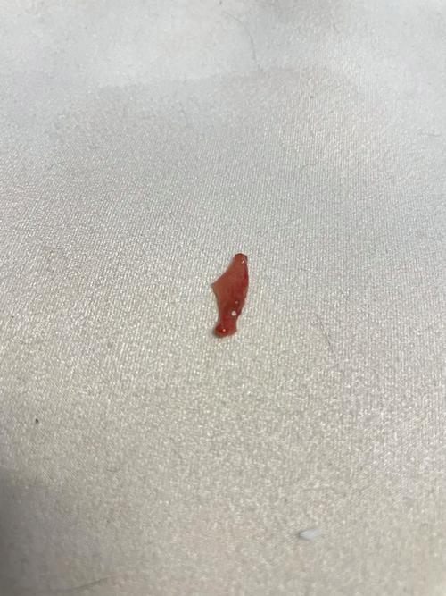 酒精对猫咪有毒吗_酒精对猫咪的伤害-第1张图片-后鲨宠物 酒精对猫咪有毒吗_酒精对猫咪的伤害-第1张图片-后鲨宠物