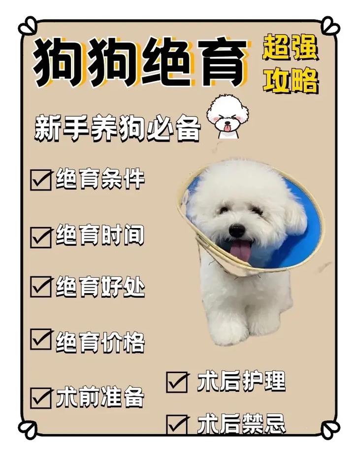 狗狗不做绝育可以吗的简单介绍-第3张图片-后鲨宠物 狗狗不做绝育可以吗的简单介绍-第3张图片-后鲨宠物