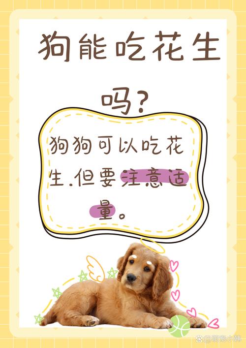 狗狗能吃花生嘛,狗可以吃花生的吗-第2张图片-后鲨宠物 狗狗能吃花生嘛,狗可以吃花生的吗-第2张图片-后鲨宠物