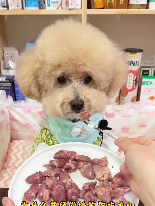 狗狗吃鸡胸肉好消化吗,狗狗吃鸡胸肉好消化吗会拉稀吗?-第1张图片-后鲨宠物 狗狗吃鸡胸肉好消化吗,狗狗吃鸡胸肉好消化吗会拉稀吗?-第1张图片-后鲨宠物