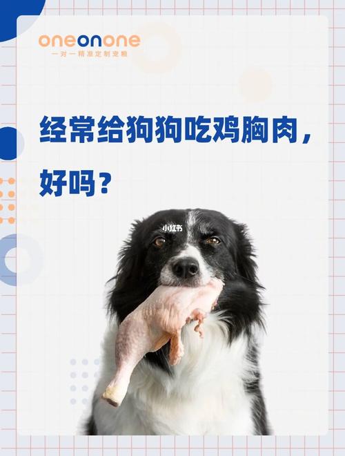 狗狗吃鸡胸肉好消化吗,狗狗吃鸡胸肉好消化吗会拉稀吗?-第3张图片-后鲨宠物 狗狗吃鸡胸肉好消化吗,狗狗吃鸡胸肉好消化吗会拉稀吗?-第3张图片-后鲨宠物