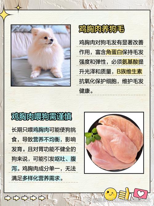 狗狗吃鸡胸肉好消化吗,狗狗吃鸡胸肉好消化吗会拉稀吗?-第5张图片-后鲨宠物 狗狗吃鸡胸肉好消化吗,狗狗吃鸡胸肉好消化吗会拉稀吗?-第5张图片-后鲨宠物