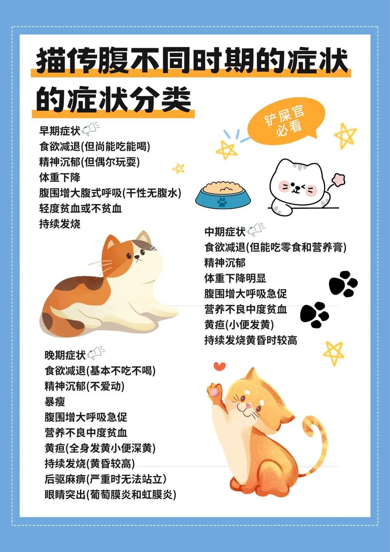 猫咪传腹是什么病,猫咪传腹的症状?-第2张图片-后鲨宠物 猫咪传腹是什么病,猫咪传腹的症状?-第2张图片-后鲨宠物