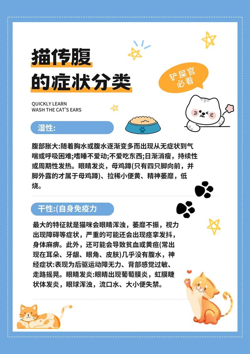 猫咪传腹是什么病,猫咪传腹的症状?-第5张图片-后鲨宠物 猫咪传腹是什么病,猫咪传腹的症状?-第5张图片-后鲨宠物