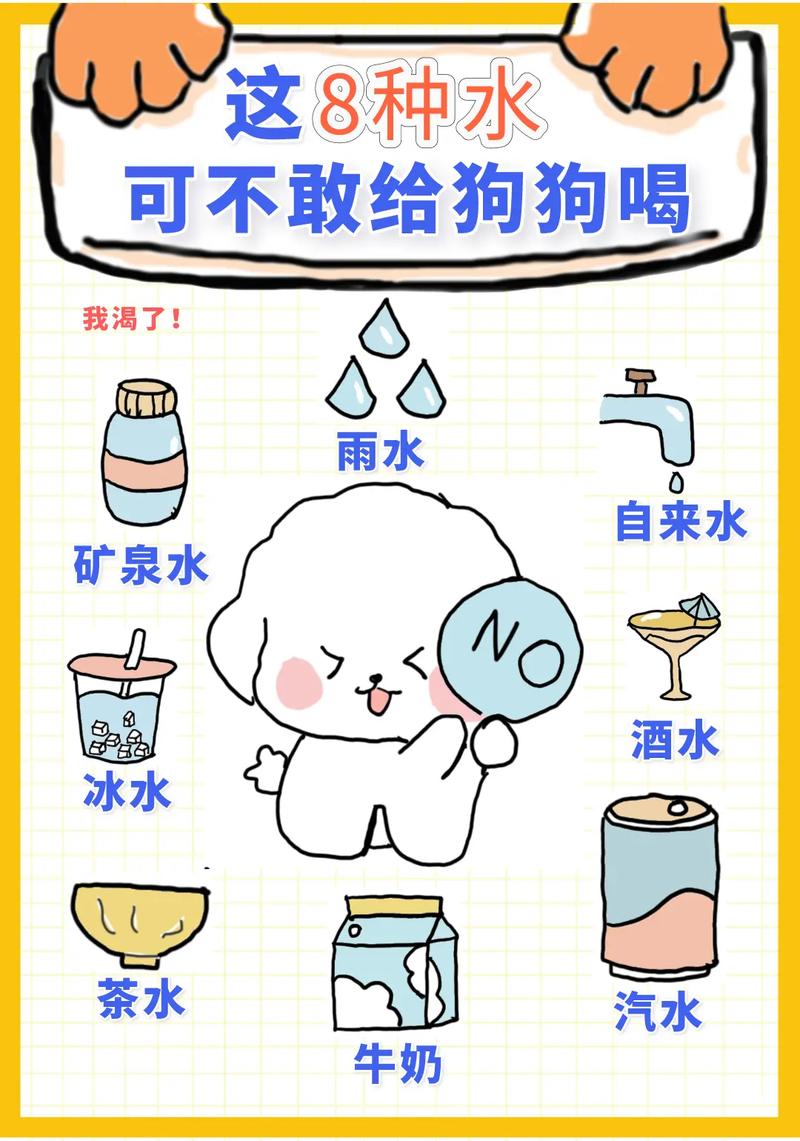 狗狗吃红糖有什么好处_狗狗吃红糖有什么好处和功效-第4张图片-后鲨宠物 狗狗吃红糖有什么好处_狗狗吃红糖有什么好处和功效-第4张图片-后鲨宠物