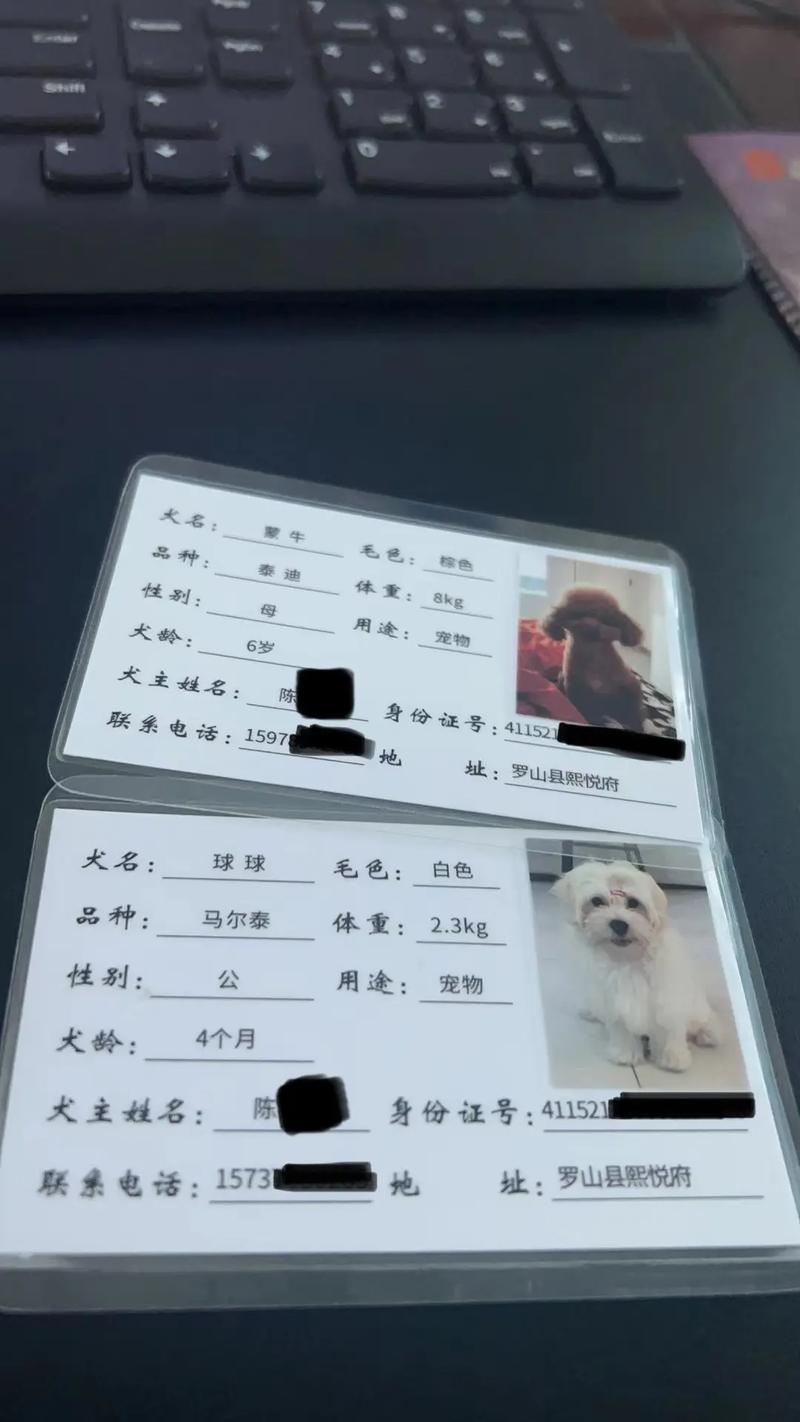 狗狗办狗证有什么用_狗狗办狗证要钱吗-第4张图片-后鲨宠物 狗狗办狗证有什么用_狗狗办狗证要钱吗-第4张图片-后鲨宠物