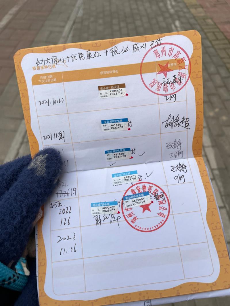 狗狗办狗证有什么用_狗狗办狗证要钱吗-第5张图片-后鲨宠物 狗狗办狗证有什么用_狗狗办狗证要钱吗-第5张图片-后鲨宠物