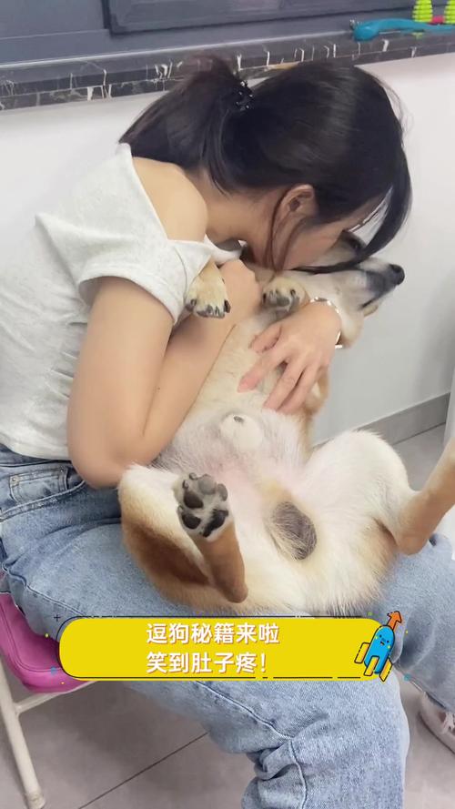 怎么逗狗狗开心,逗狗狗开心的办法-第4张图片-后鲨宠物 怎么逗狗狗开心,逗狗狗开心的办法-第4张图片-后鲨宠物