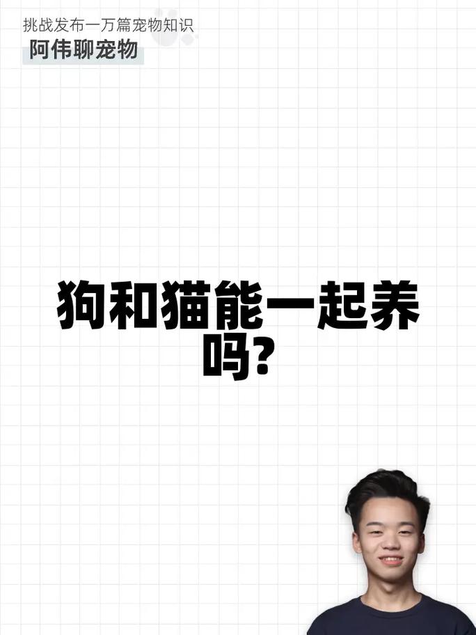 猫砂狗狗能用吗,狗能用猫砂不-第2张图片-后鲨宠物 猫砂狗狗能用吗,狗能用猫砂不-第2张图片-后鲨宠物