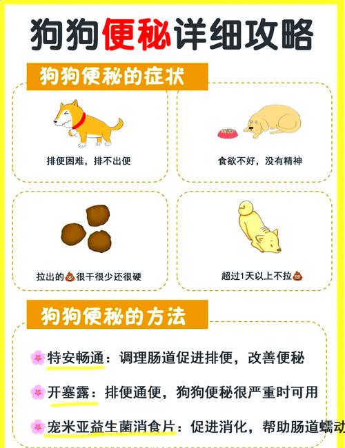 狗狗便秘了怎么办_狗狗便秘了怎么办吃什么药-第1张图片-后鲨宠物 狗狗便秘了怎么办_狗狗便秘了怎么办吃什么药-第1张图片-后鲨宠物
