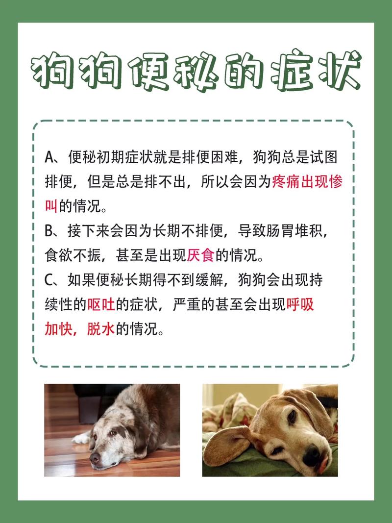 狗狗便秘了怎么办_狗狗便秘了怎么办吃什么药-第3张图片-后鲨宠物 狗狗便秘了怎么办_狗狗便秘了怎么办吃什么药-第3张图片-后鲨宠物