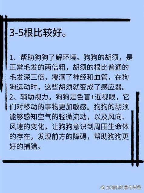 狗狗的胡须有什么用,狗狗的胡须起什么作用-第3张图片-后鲨宠物 狗狗的胡须有什么用,狗狗的胡须起什么作用-第3张图片-后鲨宠物
