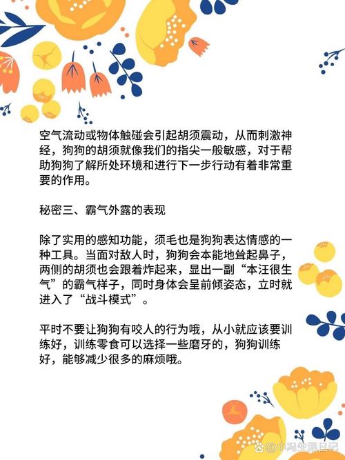 狗狗的胡须有什么用,狗狗的胡须起什么作用-第5张图片-后鲨宠物 狗狗的胡须有什么用,狗狗的胡须起什么作用-第5张图片-后鲨宠物