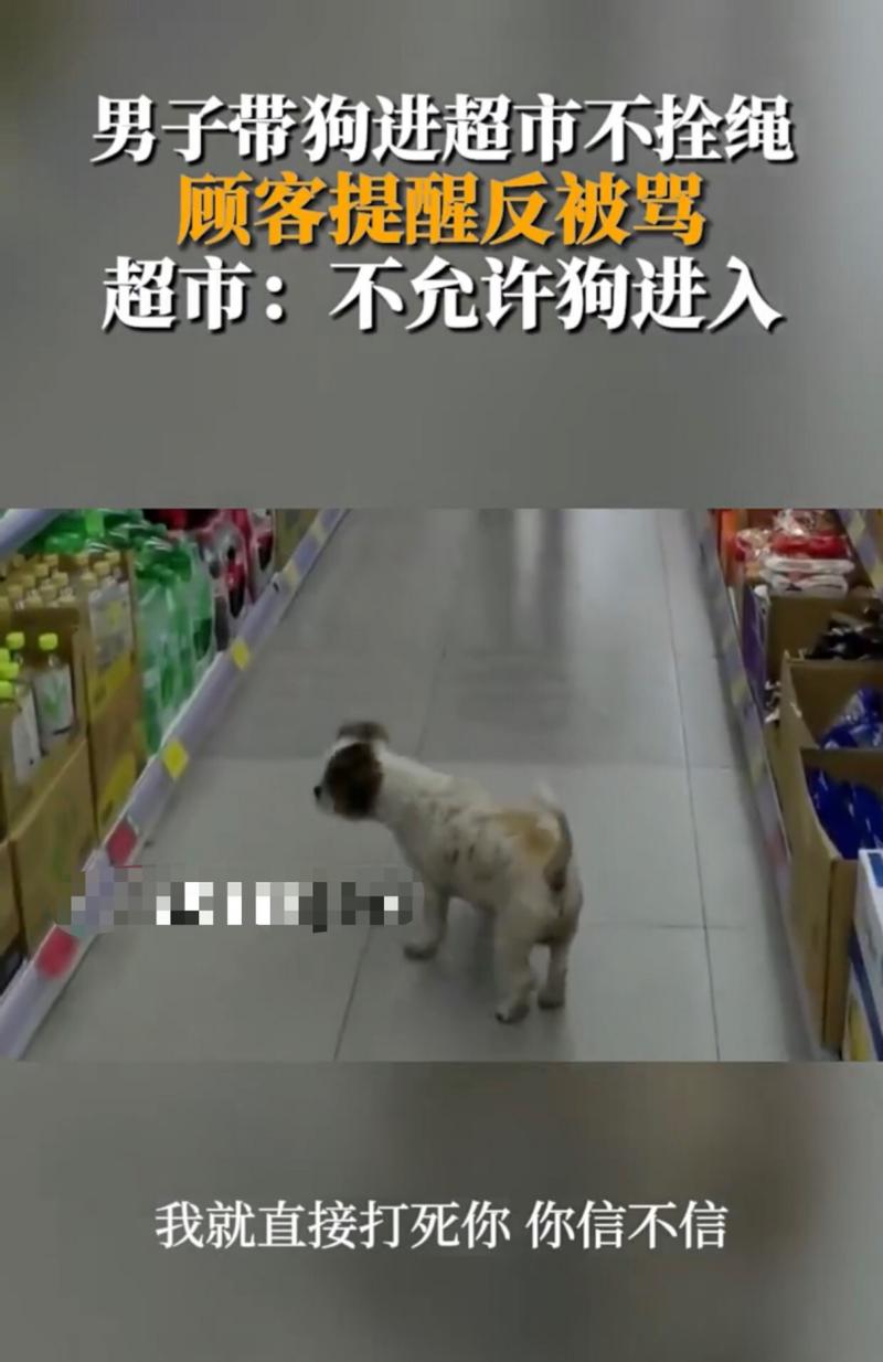 狗狗可以进超市吗_狗狗可以进超市吗现在-第6张图片-后鲨宠物 狗狗可以进超市吗_狗狗可以进超市吗现在-第6张图片-后鲨宠物