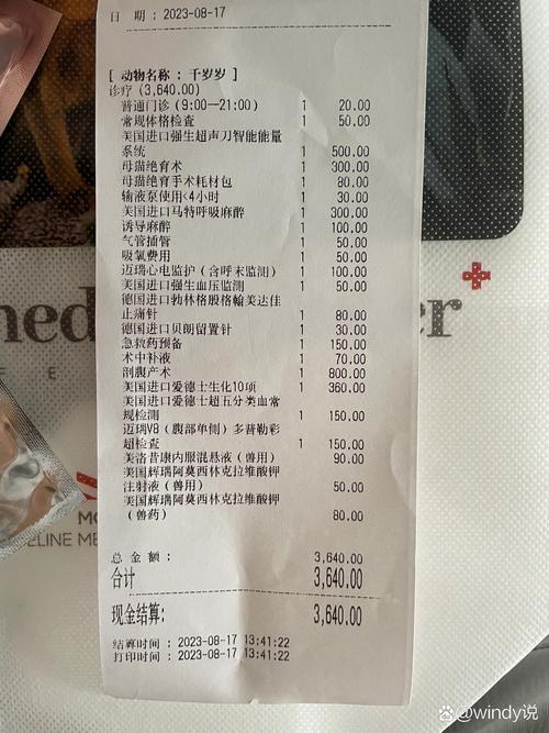 猫咪刨腹产多少钱,猫刨腹产多少钱啊?-第2张图片-后鲨宠物 猫咪刨腹产多少钱,猫刨腹产多少钱啊?-第2张图片-后鲨宠物