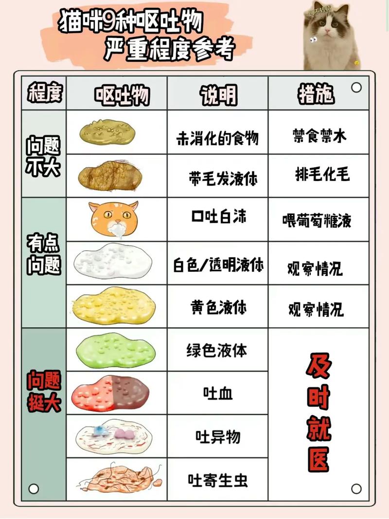 猫咪吃多了会吐吗,猫吃多了会一直吐吗-第4张图片-后鲨宠物 猫咪吃多了会吐吗,猫吃多了会一直吐吗-第4张图片-后鲨宠物