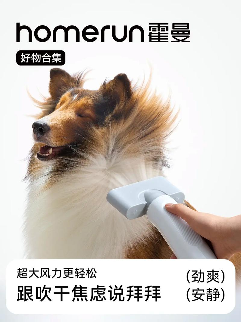 狗狗吹水机哪个牌子好,狗狗吹水机使用先后顺序-第2张图片-后鲨宠物 狗狗吹水机哪个牌子好,狗狗吹水机使用先后顺序-第2张图片-后鲨宠物