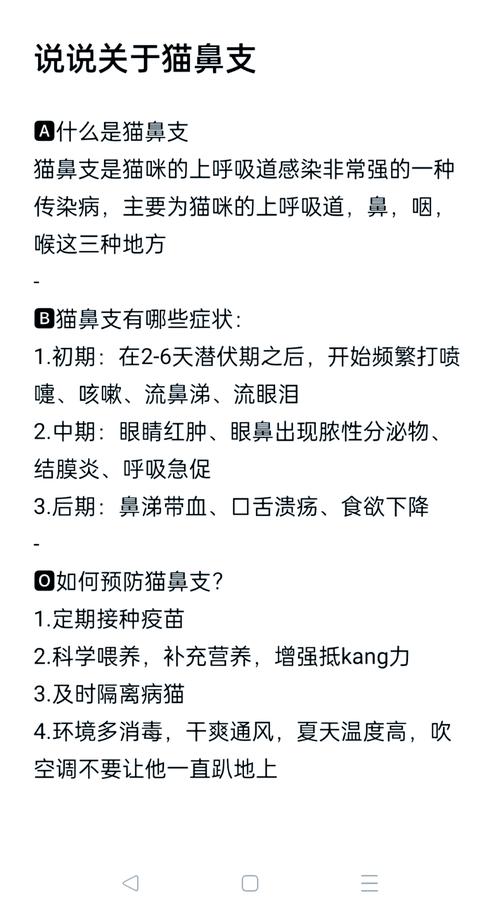 猫咪呼吸道感染,猫咪呼吸道感染治疗需要多少钱?-第2张图片-后鲨宠物 猫咪呼吸道感染,猫咪呼吸道感染治疗需要多少钱?-第2张图片-后鲨宠物
