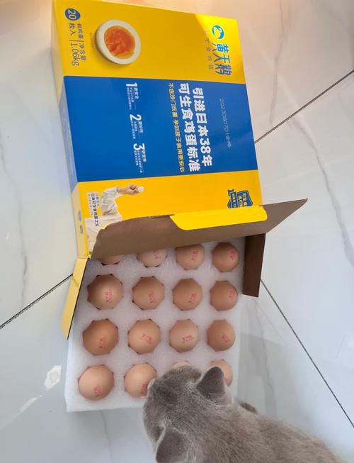 猫咪能吃生鸡蛋吗,猫可以吃生鸡蛋不?-第3张图片-后鲨宠物 猫咪能吃生鸡蛋吗,猫可以吃生鸡蛋不?-第3张图片-后鲨宠物