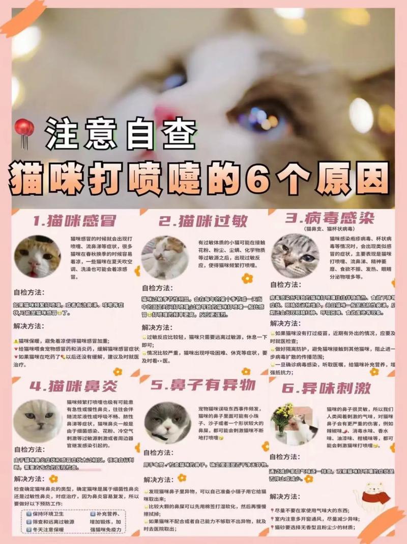  猫咪洗完澡打喷嚏，猫咪洗完澡打喷嚏可吃吃速诺片吗-第5张图片-后鲨宠物