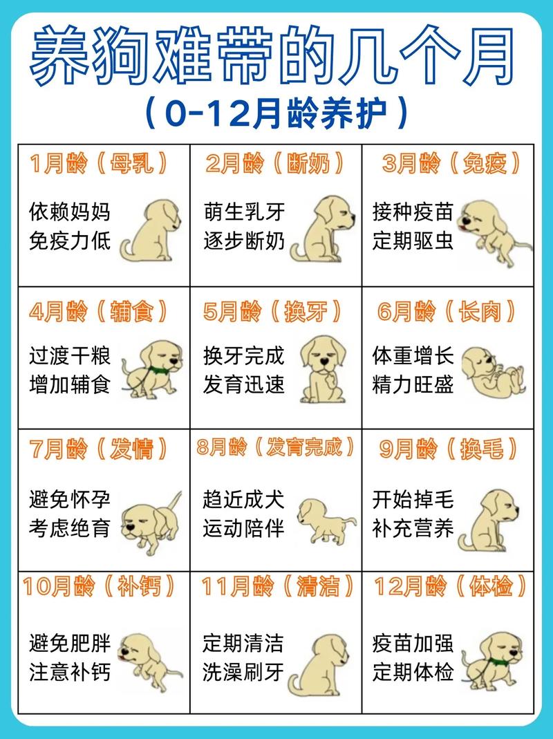 狗狗多久可以断奶,新生狗狗多久可以断奶?-第4张图片-后鲨宠物 狗狗多久可以断奶,新生狗狗多久可以断奶?-第4张图片-后鲨宠物