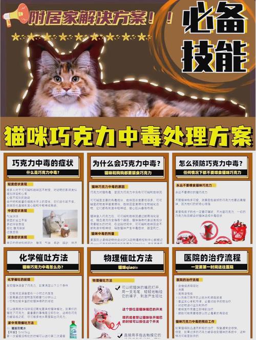 猫咪吃了巧克力怎么办,猫吃了巧克力有什么症状?-第2张图片-后鲨宠物 猫咪吃了巧克力怎么办,猫吃了巧克力有什么症状?-第2张图片-后鲨宠物