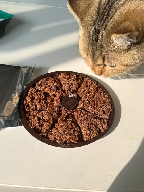 猫咪吃了巧克力怎么办,猫吃了巧克力有什么症状?-第5张图片-后鲨宠物 猫咪吃了巧克力怎么办,猫吃了巧克力有什么症状?-第5张图片-后鲨宠物