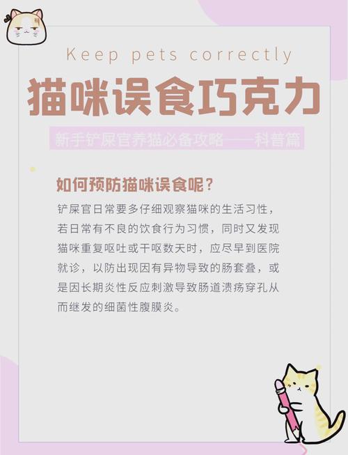 猫咪吃了巧克力怎么办,猫吃了巧克力有什么症状?-第6张图片-后鲨宠物 猫咪吃了巧克力怎么办,猫吃了巧克力有什么症状?-第6张图片-后鲨宠物