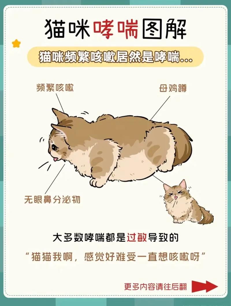 猫咪呼吸很急促，猫咪呼吸很急促有声音但是很活泼？-第4张图片-后鲨宠物