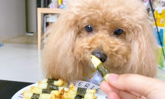 狗狗能吃海苔吗,狗可以吃海苔吗不知道吃啥?-第4张图片-后鲨宠物 狗狗能吃海苔吗,狗可以吃海苔吗不知道吃啥?-第4张图片-后鲨宠物