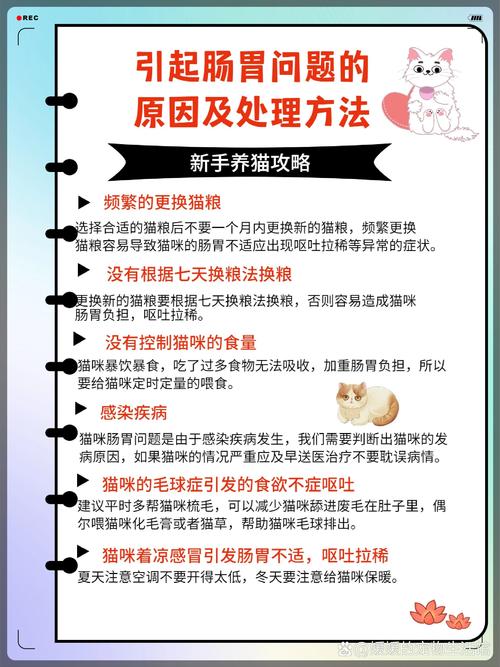 猫咪肠胃不好怎么调理,猫咪肠胃不好怎么调理?-第2张图片-后鲨宠物 猫咪肠胃不好怎么调理,猫咪肠胃不好怎么调理?-第2张图片-后鲨宠物