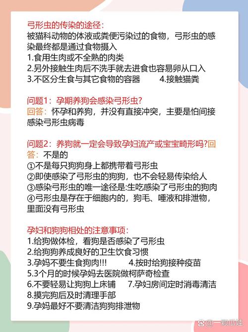 孕妇养狗狗要注意哪些,孕妇养宠物狗需要注意什么?-第5张图片-后鲨宠物 孕妇养狗狗要注意哪些,孕妇养宠物狗需要注意什么?-第5张图片-后鲨宠物
