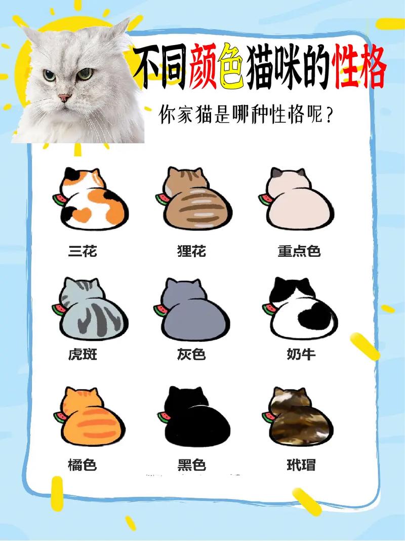 猫咪最喜欢什么颜色,猫咪最喜欢哪种颜色?-第1张图片-后鲨宠物 猫咪最喜欢什么颜色,猫咪最喜欢哪种颜色?-第1张图片-后鲨宠物