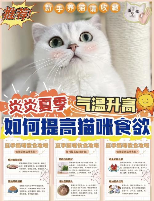 猫咪食欲下降怎么回事_猫咪食欲减退怎么回事-第5张图片-后鲨宠物 猫咪食欲下降怎么回事_猫咪食欲减退怎么回事-第5张图片-后鲨宠物